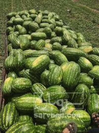 فروش هندوانه