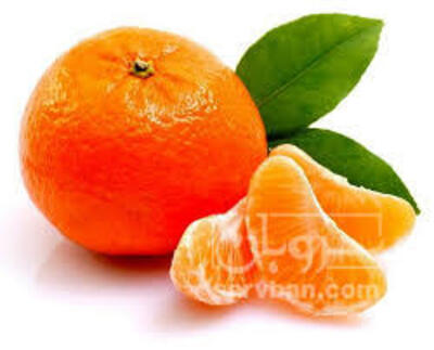 فروش نارنگی