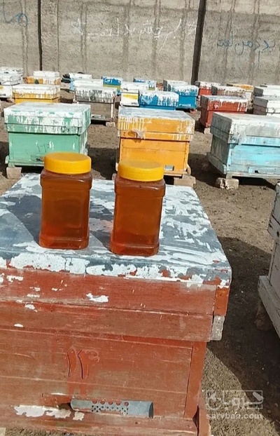 فروش عسل کنار