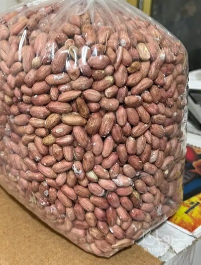 فروش بادام زمینی بی قلاف