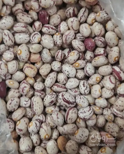 فروش لوبیا چیتی