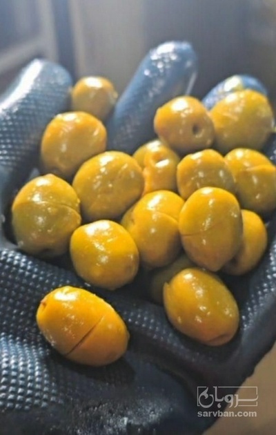 فروش زیتون ویژه