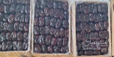 فروش خرما مضافتی