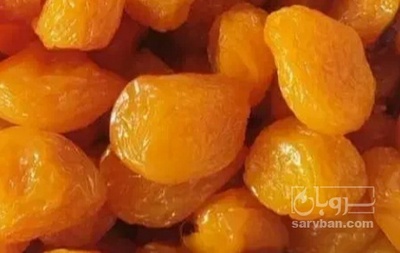 فروش آلو کبرایی