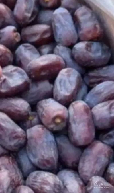فروش خرما