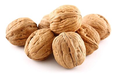 فروش گردو