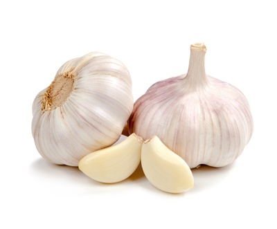 فروش سیر