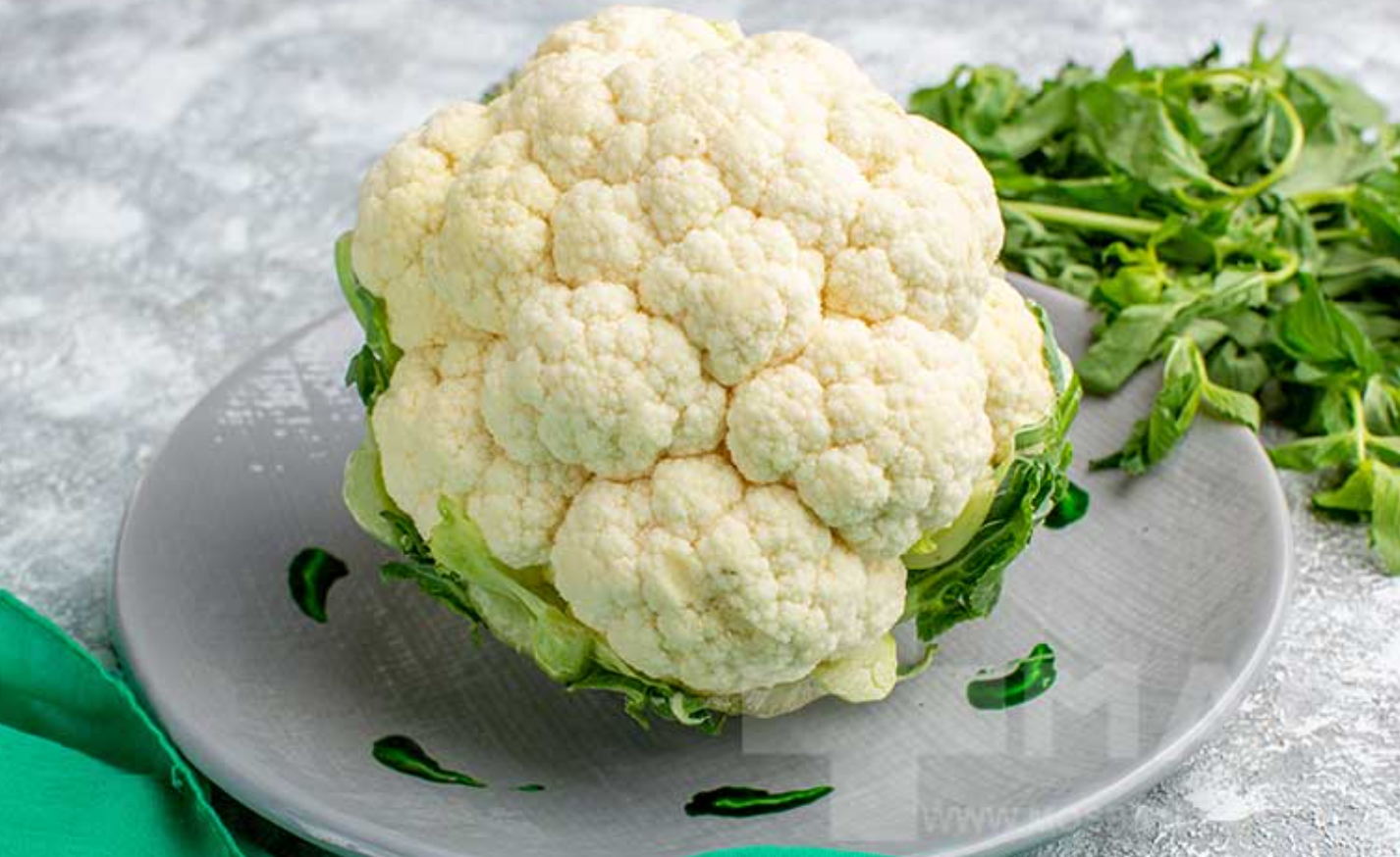 فروش گل کلم