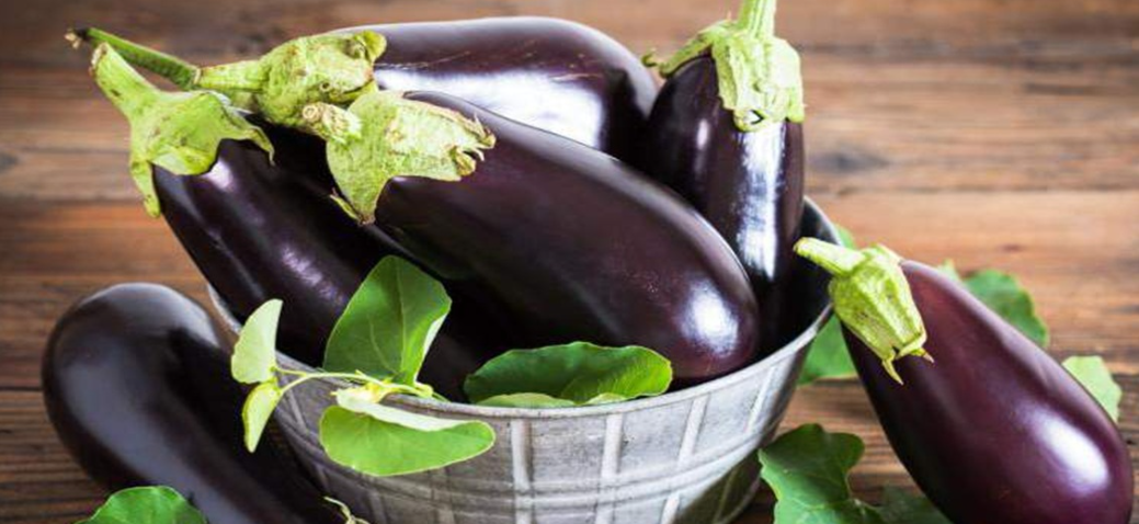 فروش بادمجان قلمی