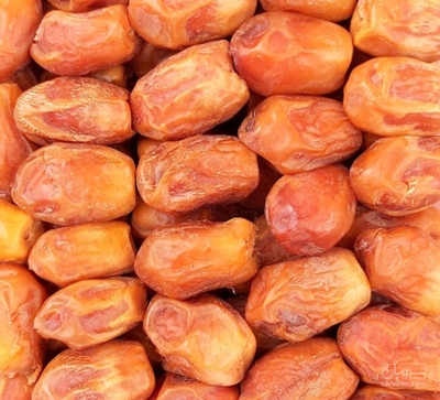 فروش خرماکلوته