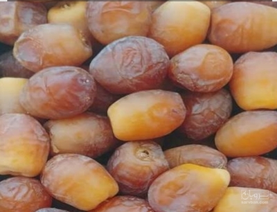 فروش خرماقصب