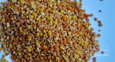 فروش گرده گل