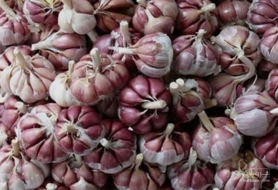 فروش سیر