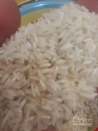 فروش برنج عنبر بو