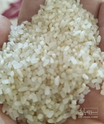 فروش برنج نیم دانه
