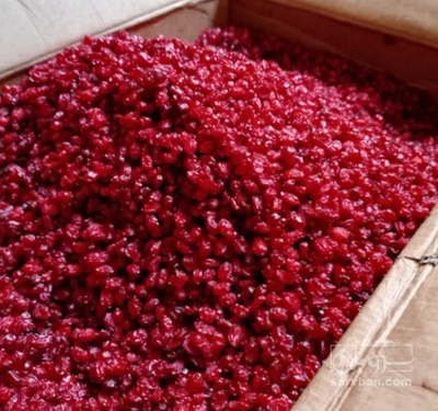 فروش زرشک زیر تالاری