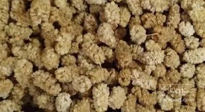 فروش توت خشک