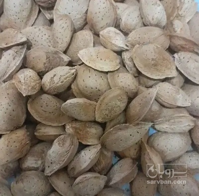 فروش بادام