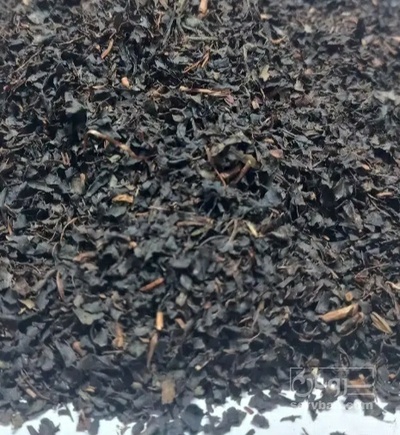 فروش چای سیاه شکسته ممتاز