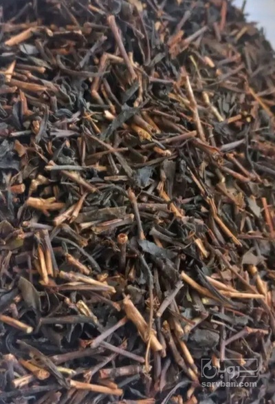 فروش چای سیاه قلم درشت
