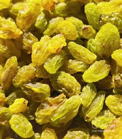 فروش کشمش طلایی