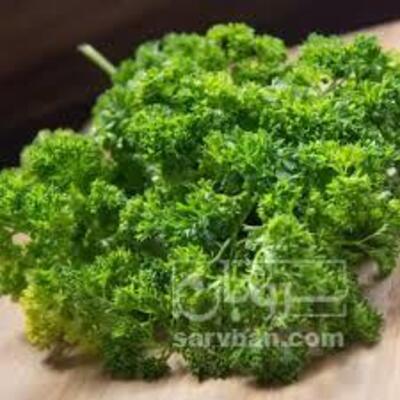 فروش جعفری فر