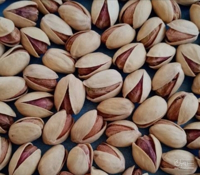 فروش پسته فندقی