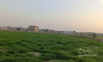 فروش یونجه