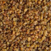 فروش کشمش