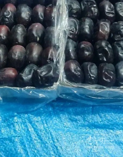 فروش خرما مضافتی