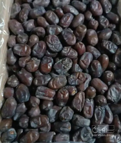 فروش خرما کلوته