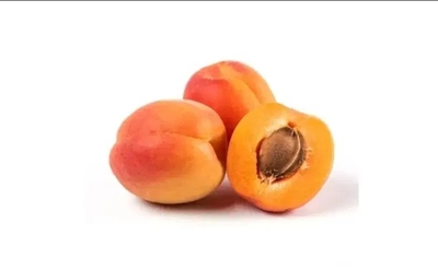 فروش زردآلو