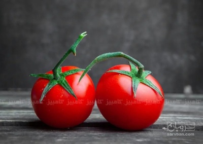 فروش گوجه فرنگی