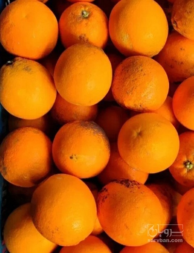 فروش پرتقال واشگنتن