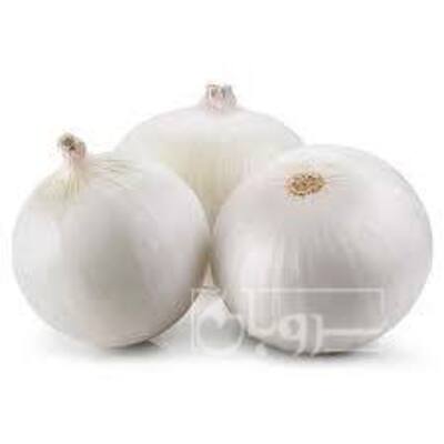 فروش پیازسفید