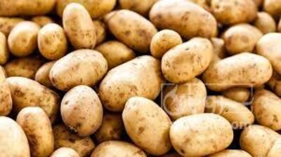 فروش سیب زمینی