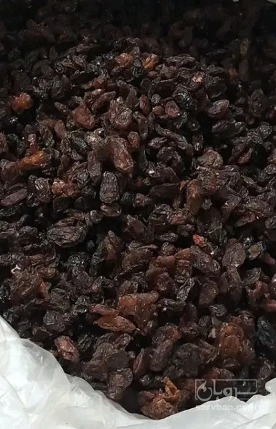 فروش کشمش تیزابی