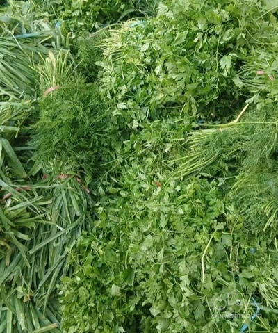 فروش شوید تازه