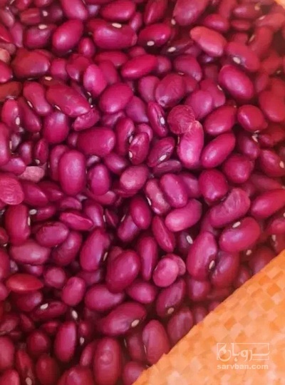 فروش لوبیا قرمز