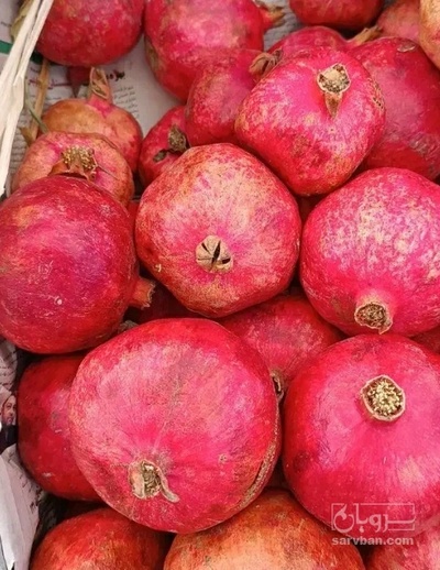 فروش انار