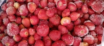 فروش توت فرنگی منجمد