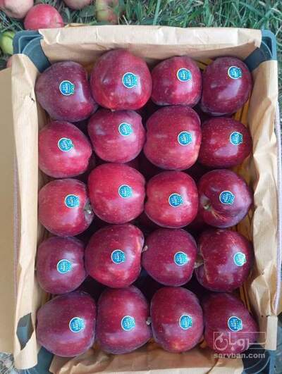 فروش سیب