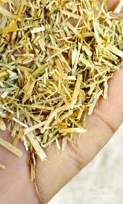 فروش کاه خارشتر (گیاه‌ دارویی)