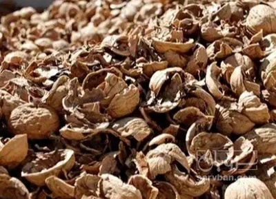 فروش پوست گردو