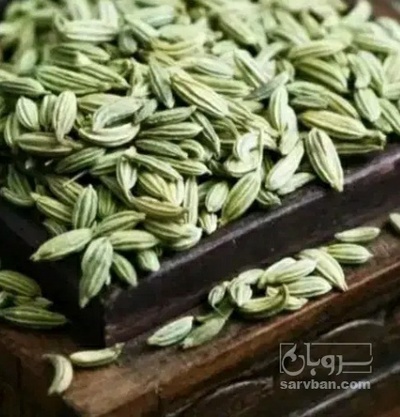 فروش رازیانه (گیاه‌ دارویی)