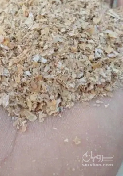 فروش سبوس گندم