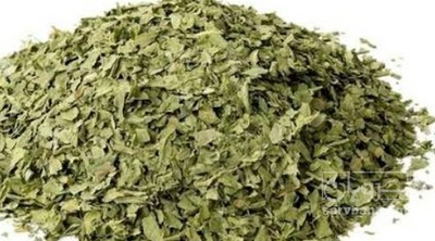 فروش نعناع خشک (گیاه‌ دارویی)
