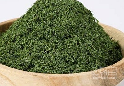 فروش شوید خشک (گیاه‌ دارویی)