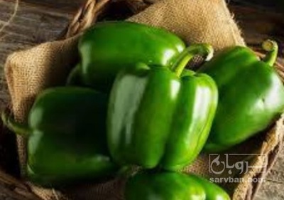 فروش فلفل دلمه ای