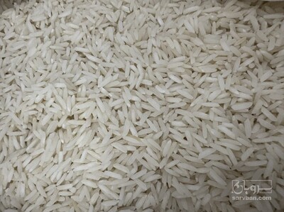 فروش برنج
